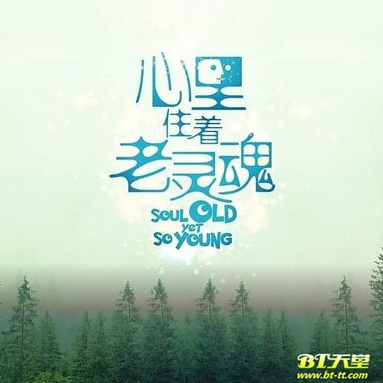 一个苹果多大,一个苹果的故事